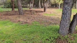 #137.Судак. Какие путёвки  в санаторий нам дают бесплатно. Соцзащита?