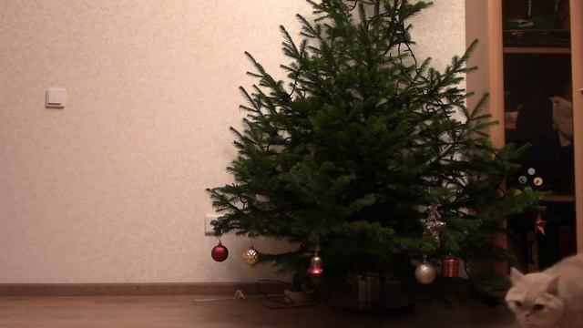 НАСТОЯЩАЯ НОВОГОДНЯЯ ЁЛКА. Украшаем Новогоднюю ёлочку. Украшения на ёлку. Игрушки. Новый год. 2021 смотреть онлайн