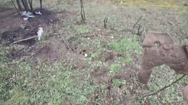 Январьские пляжные выходы . смотреть онлайн