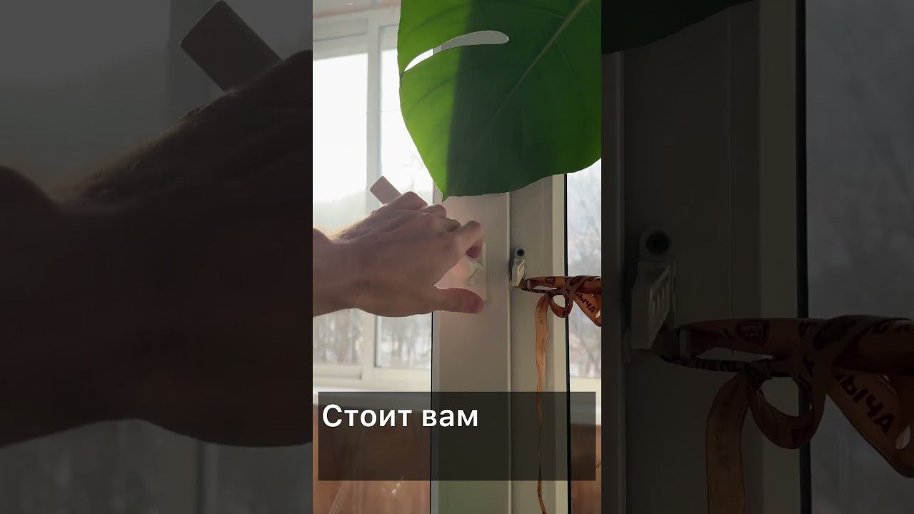 Мой телеграм - zvoronin смотреть онлайн