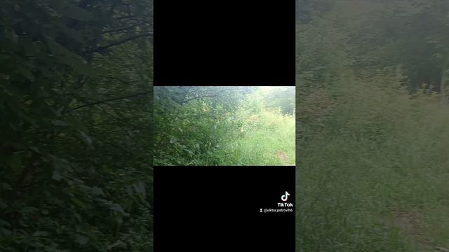 1000009494.mp4