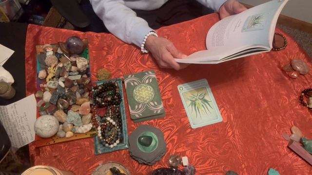 ?ORACLE HERBAL HEALING READING-THE ALOE PLANT! RESOURCEFULNESS? смотреть онлайн