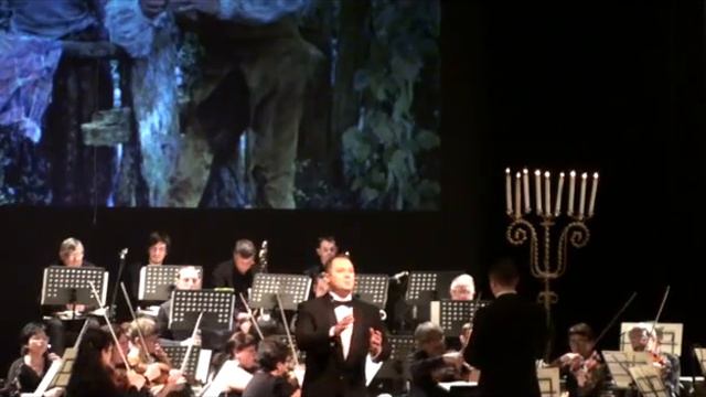 Романс Неморино.Доницетти.«Una Furtiva Lagrima»Исполняет Борис Калашников смотреть онлайн