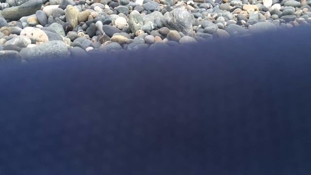 Summer 2016 / what the fuck you fell / +18 смотреть онлайн