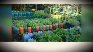 Идеи для клумбы из пластиковых бутылок