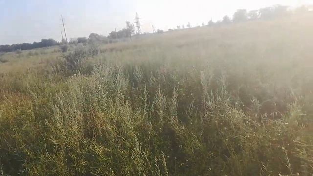 Поиск металла, с металлоискателем quest x5. Странные находки в поле. смотреть онлайн