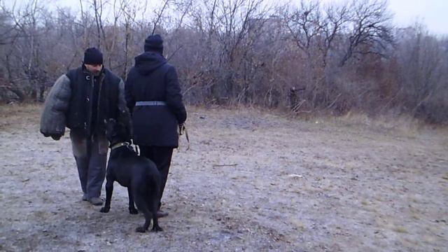 Получай Танюха в печень . к/к Макс тренинг 03,12,20 КСПД "Красная звезда"г.Донецк смотреть онлайн
