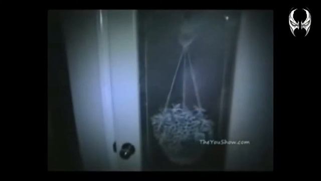 Представление канала Отродье смотреть онлайн