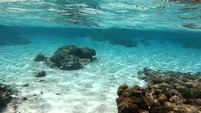 Mushroom rock beach Guam island (пляж каменных грибов) остров Гуам смотреть онлайн