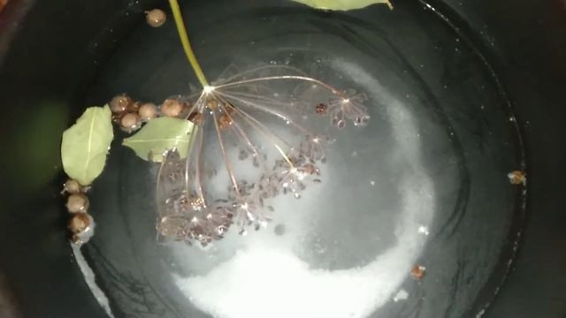 Делай То, Что Вдохновляет Других