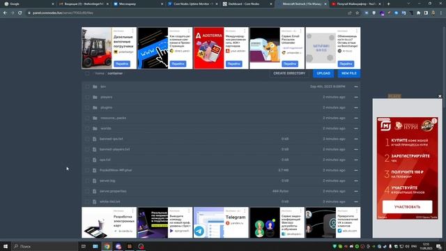 Бесплатный хостинг серверов для Minecraft Bedrock смотреть онлайн