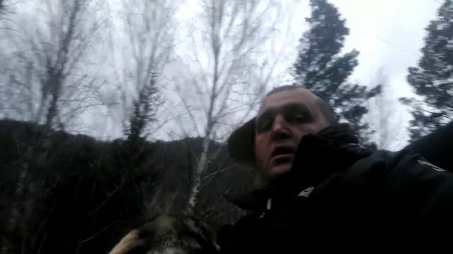 ВОПРОСЫ ПО ИПР [РЭКСИ И СЕРГЕЙ] смотреть онлайн