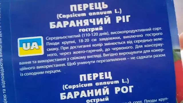 Будем высаживать новые семена перца и лука. смотреть онлайн