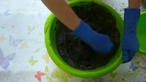 Как замешивать цемент для создания садовых фигур
