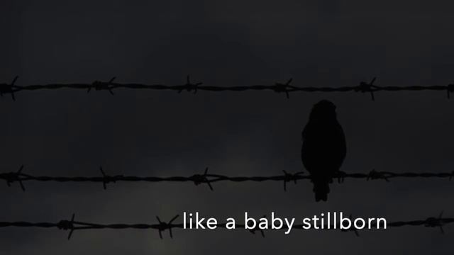 Tony Carey - Bird On A Wire смотреть онлайн