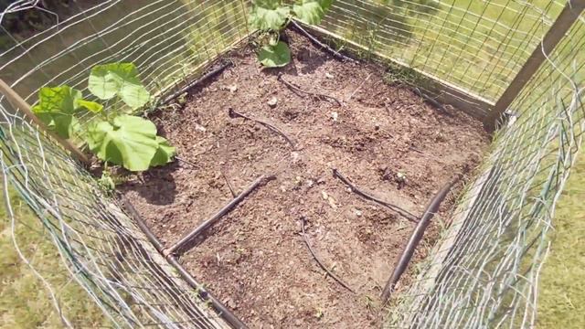 Late Summer Joy // Sourdough Discard Soft Pretzels + Garden Tour смотреть онлайн