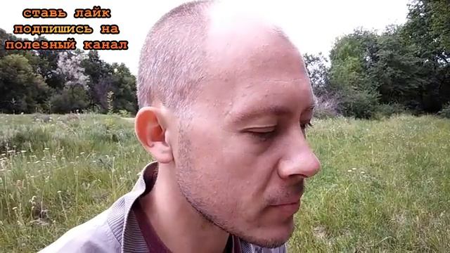 ★Как избавиться от укачивания в транспорте. Что делать если тошнит в поездках. смотреть онлайн