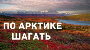 Передвижные дома для Арктики