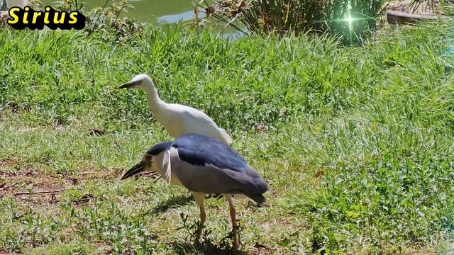 20 июля день Авдотьи: что категорически нельзя делать