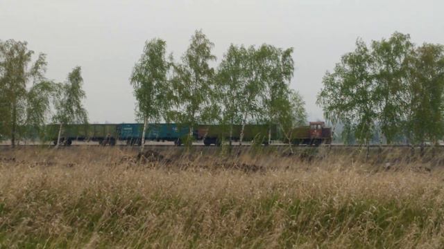 Тепловоз ТГМ23Б-2978 с полувагонами смотреть онлайн