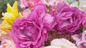 Сочетания... Блю Иден + 8 роз. И компаньоны к ним