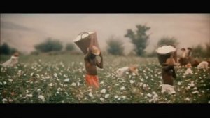 BOSHSIZ CHAVANDOZ Uzbek tilida tarjima kino