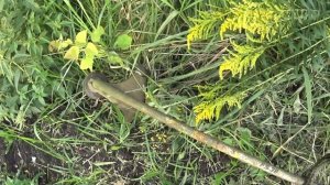 Отзывы о газонокосилке STIHL FS 38. 10 лет эксплуатации. Плюсы и минусы штиль. Отзыв владельца.