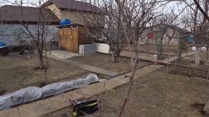 Как обрезать молодые деревья в саду