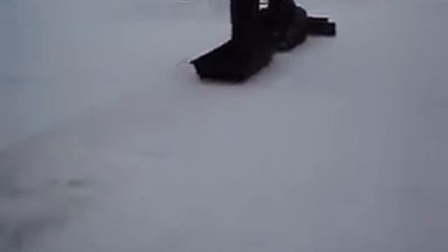 мотособака барс убирает снег.mp4 смотреть онлайн