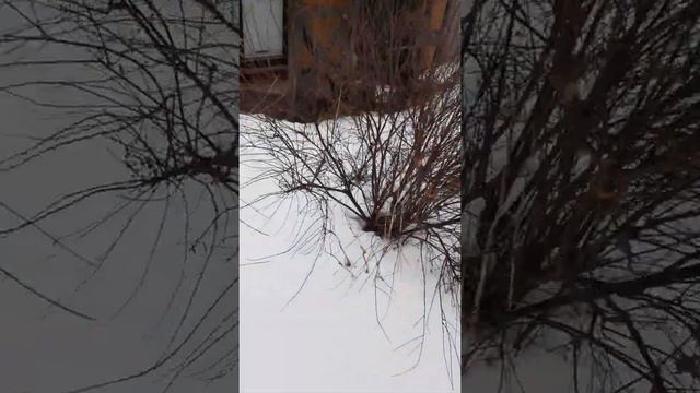 6февраля что случилось с погодой на Урале? смотреть онлайн