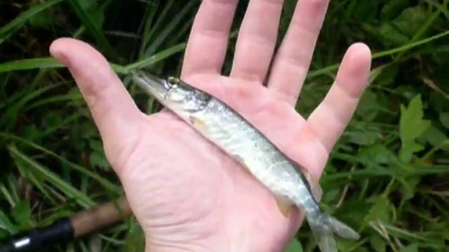 Щука моей мечты смотреть онлайн