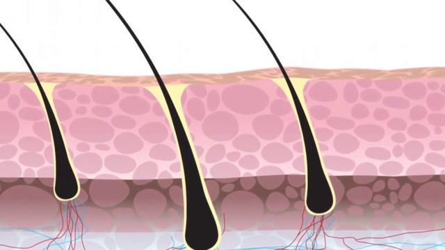 Седым Волосам МОЖНО ВЕРНУТЬ ЦВЕТ ? смотреть онлайн