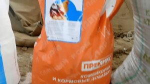 Чем кормить гусей перед яйцекладкой Состав корма