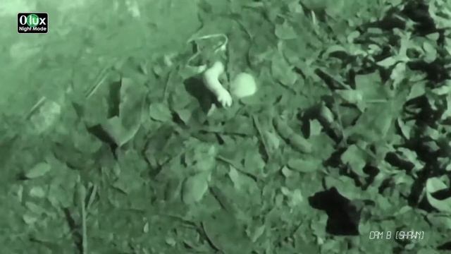 Panasonic HX-A1 0-Lux Video ver. 1 смотреть онлайн