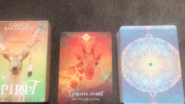 The Spirit Animal Oracle 29/68 Giraffe guide book audio description смотреть онлайн
