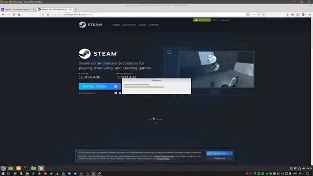 VirtualBox 6.1.22 and Linux Mint 10.1 Install Guide смотреть онлайн