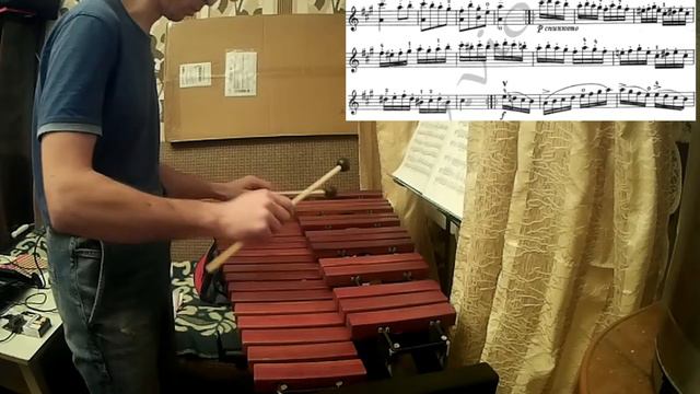 Xylophone рутина: Работа над произведением. Учим пассаж. Темп - 50 - 13 мар 2022 смотреть онлайн