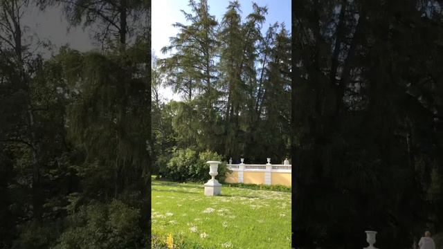 Усадьба Архангельское смотреть онлайн