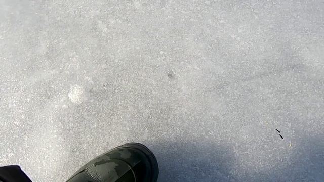Ловля плотвы со льда на гирлянду , с помощью эхолота. смотреть онлайн