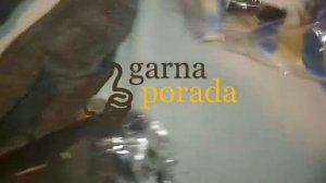 Самые долговечные носки, которые встречал