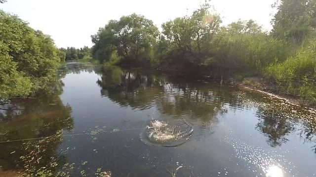 Ловля змееголова на лягушку/неогруженную резину. смотреть онлайн