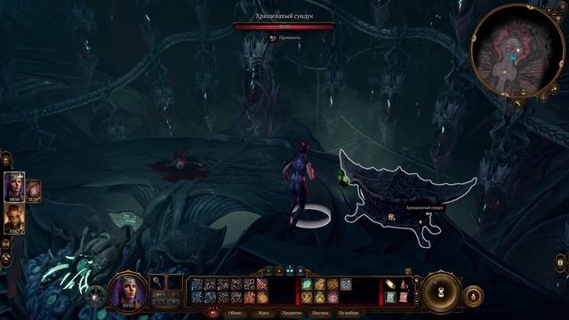 Baldurs Gate 3  Путь Шэдоухарт   прохождение без комментариев     Solo Shadowheart (часть 1)