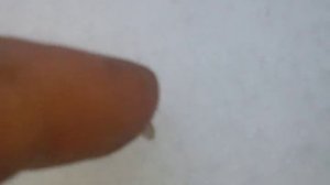 Камары зимой
