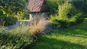 Агроткань в саду: плюсы /минусы. Где использовать.