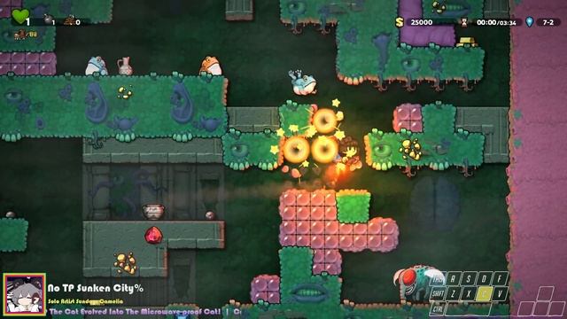 [Spelunky 2] No Teleporter Sunken City% in 05:14.466 смотреть онлайн