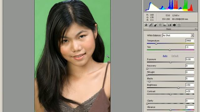 Photoshop CS3 - Phần 10 - Bài 3 - Phần mềm CameraRaw 4.2 смотреть онлайн