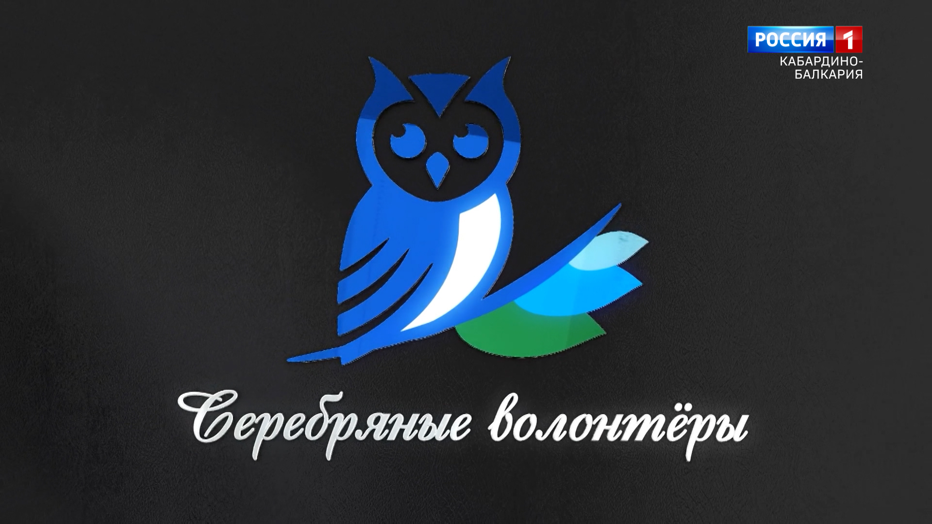 "Серебряные волонтеры" Выставка к Дню волонтера - 2022.12.21 смотреть онлайн
