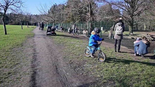 Nikon Z50 video test Ботанический Сад, Берлин, Панков, 08 января 2020 смотреть онлайн