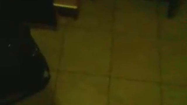 ПОЛЕТ ЖУКА ОЛЕНЯ)) 2013.. смотреть онлайн