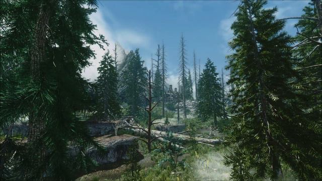 Dark Forests of Skyrim with 3D trees смотреть онлайн